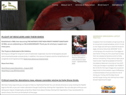 The Tropics - Parrot Refuge